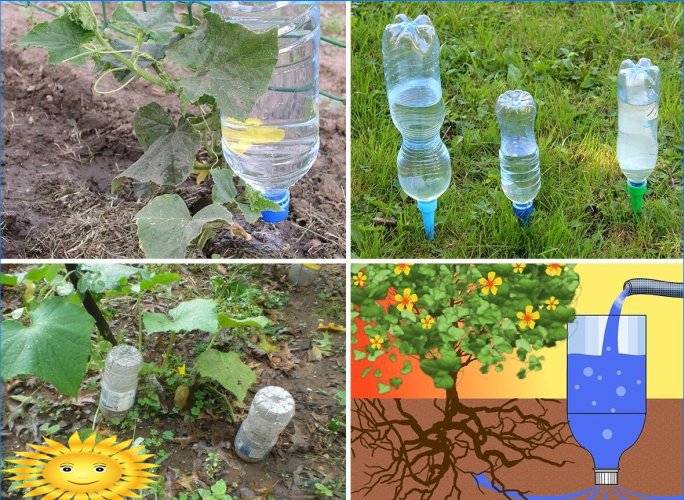 Irrigation goutte à goutte à partir de bouteilles en plastique