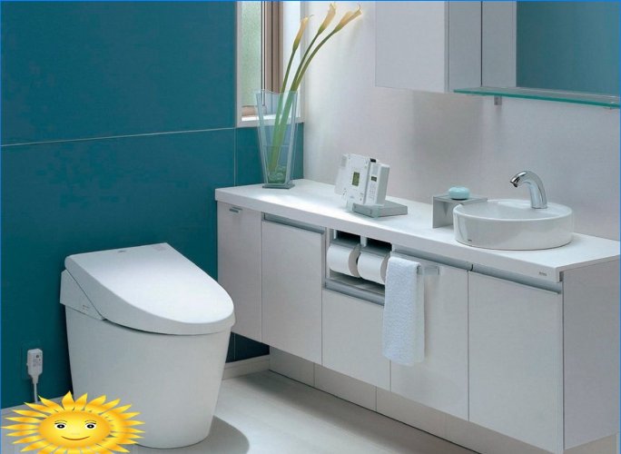 Salle de bain de style japonais