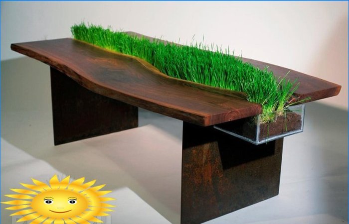 Tables en bois étonnantes