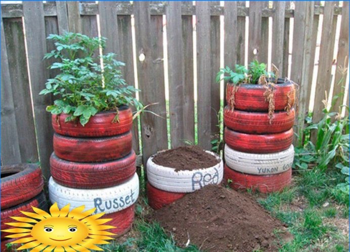 8 façons de cultiver des pommes de terre sans creuser dans votre jardin