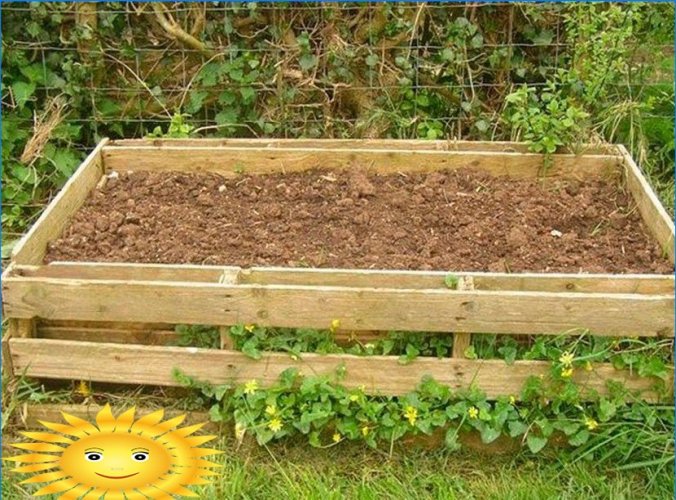 8 façons de cultiver des pommes de terre sans creuser dans votre jardin