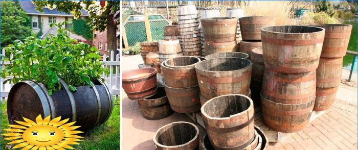 8 façons de cultiver des pommes de terre sans creuser dans votre jardin