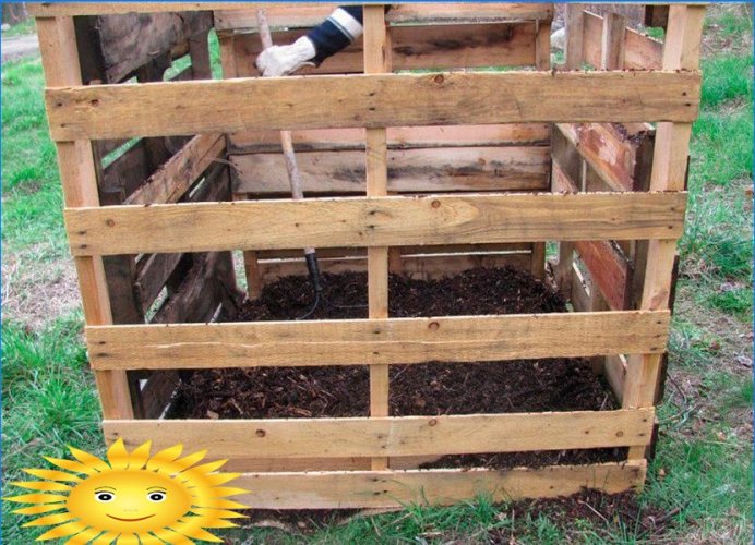 8 façons de cultiver des pommes de terre sans creuser dans votre jardin
