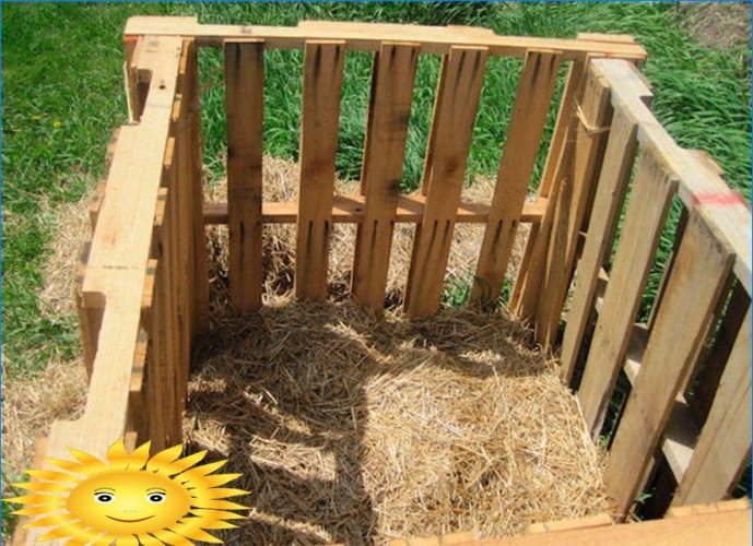 8 façons de cultiver des pommes de terre sans creuser dans votre jardin