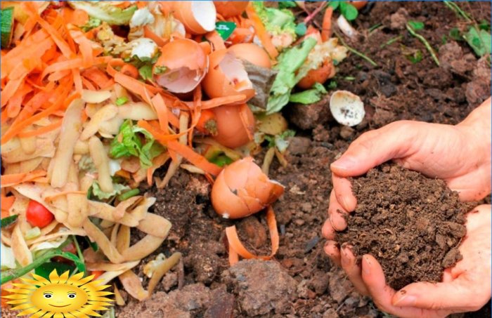 Faire un tas de compost - six ingrédients principaux