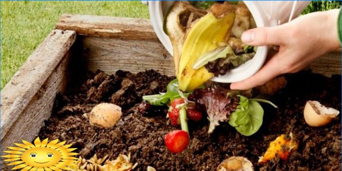 Comment faire un tas  de compost six ingr dients essentiels