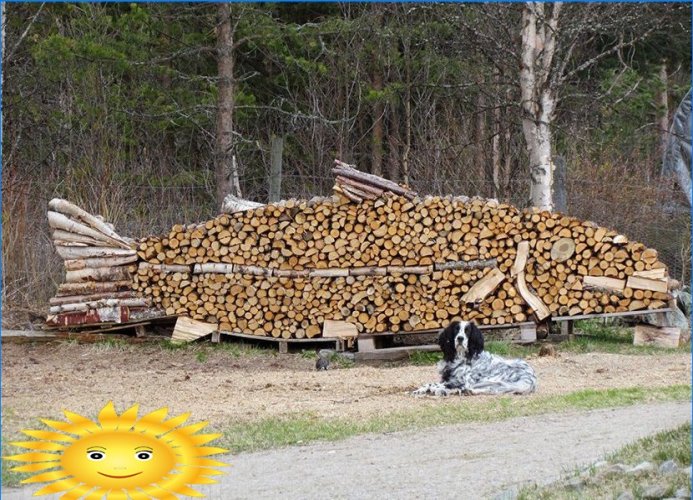 Bois de chauffage empilé sous la forme d'un poisson