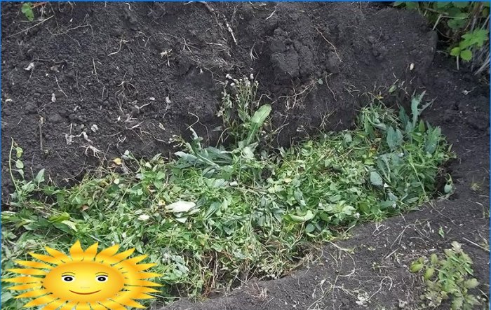Conseils de jardinier: comment faire une fosse à compost de vos propres mains