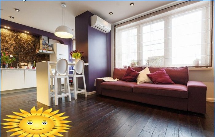 Zonage fonctionnel de l'espace avec des meubles dans un appartement d'une pièce