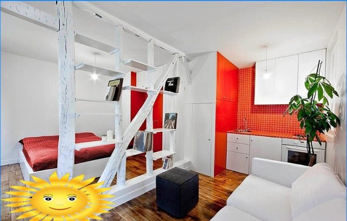 Zonage fonctionnel de l'espace avec des meubles dans un appartement d'une pièce
