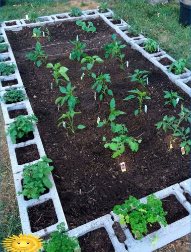 Idées de jardin surélevé bricolage