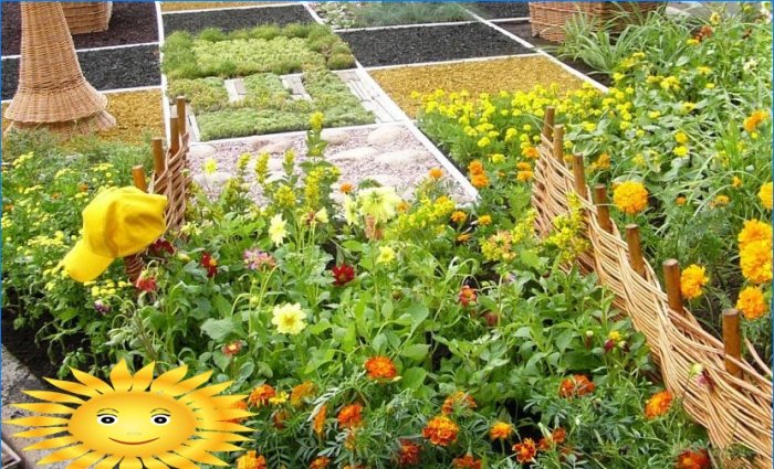 Nous équipons un jardin fleuri sur le site - choisissez la meilleure option