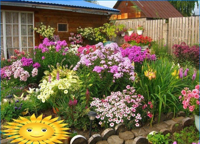 Nous équipons un jardin fleuri sur le site - choisissez la meilleure option