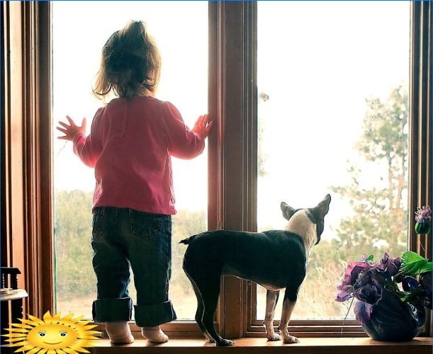 Protection des fenêtres pour enfants et animaux