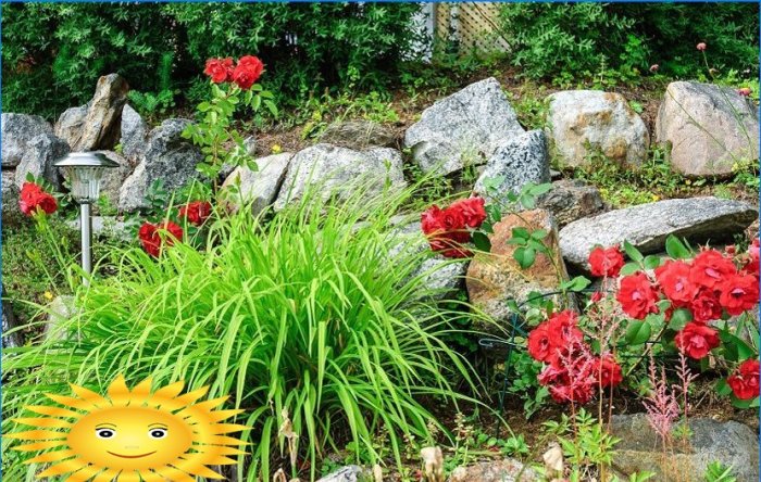 Rockery faites-le vous-même
