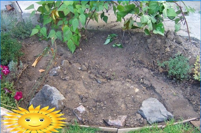 Rockery faites-le vous-même