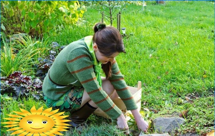 Rockery faites-le vous-même