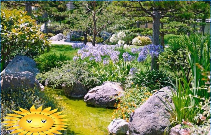 Rockery faites-le vous-même