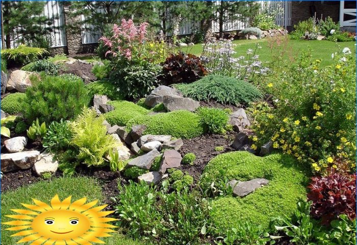 Rockery faites-le vous-même