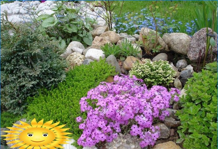 Rockery faites-le vous-même