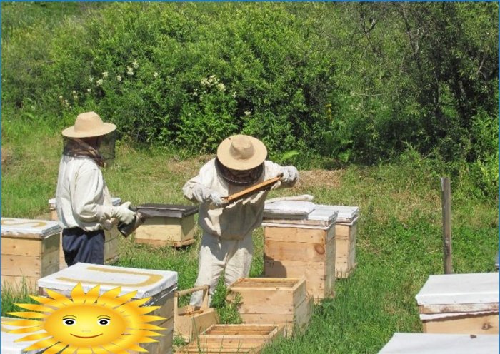 Ruche et abeilles comme décoration de jardin