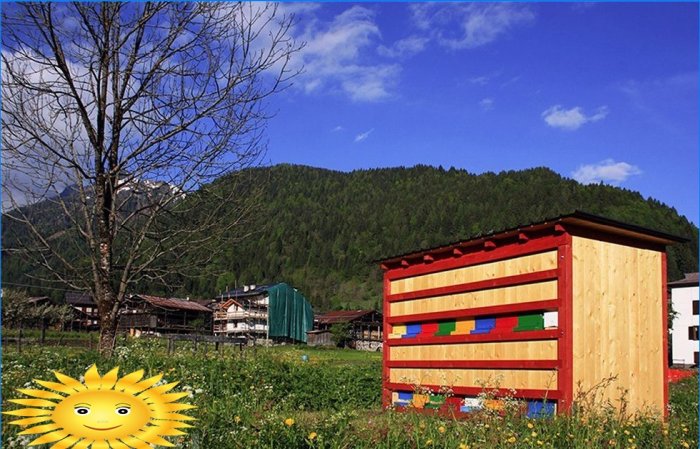 Ruche Bienenhaus