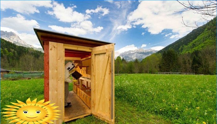 Ruche Bienenhaus