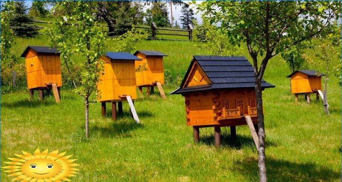 Maisons en bois pour abeilles