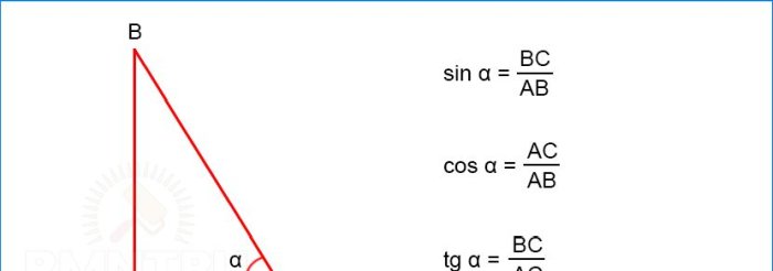 Fonctions trigonométriques d'un angle aigu