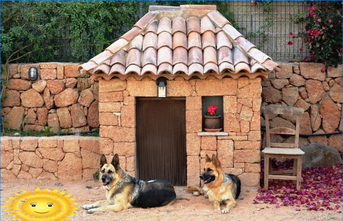 Cabines et maisons pour chiens