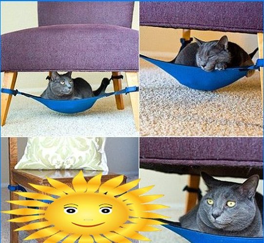 Cette chaise pour moi, ce pouf pour le chat - nous équipons l'intérieur du chat