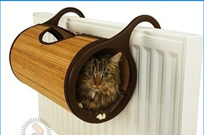 Cette chaise pour moi, ce pouf pour le chat - nous équipons l'intérieur du chat