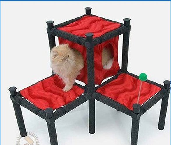 Cette chaise pour moi, ce pouf pour le chat - nous équipons l'intérieur du chat