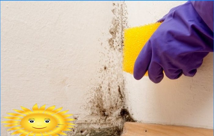 Comment éliminer la moisissure sur les murs. Méthodes traditionnelles à un prix abordable