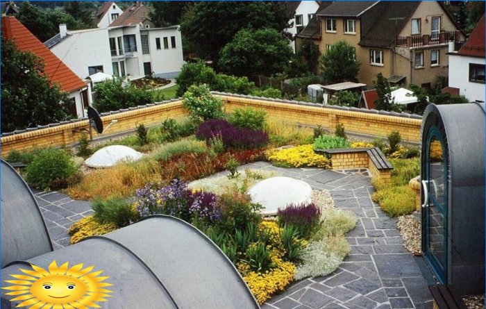 Jardin sur le toit - variétés et arrangement de vos propres mains