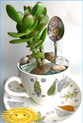 Mini jardin dans une tasse
