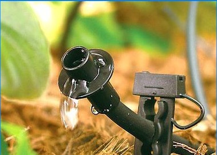 Sélection des éléments du système d'irrigation goutte à goutte