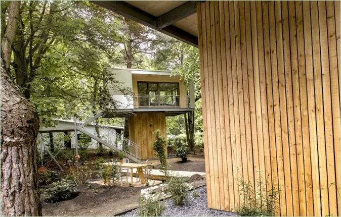 La cour de la maison dans les arbres