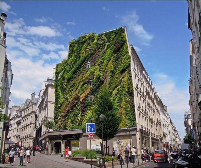 Le jardin vertical Oasis Aboukir de Patrick Blanc