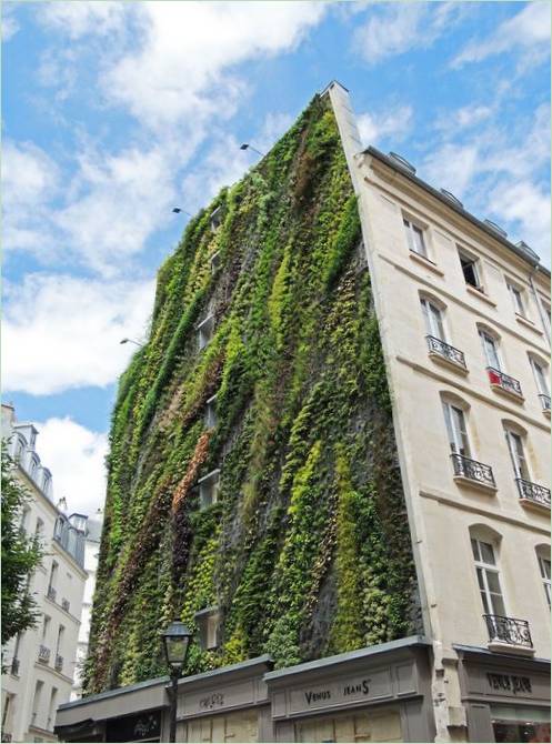 Le jardin vertical Oasis Aboukir de Patrick Blanc