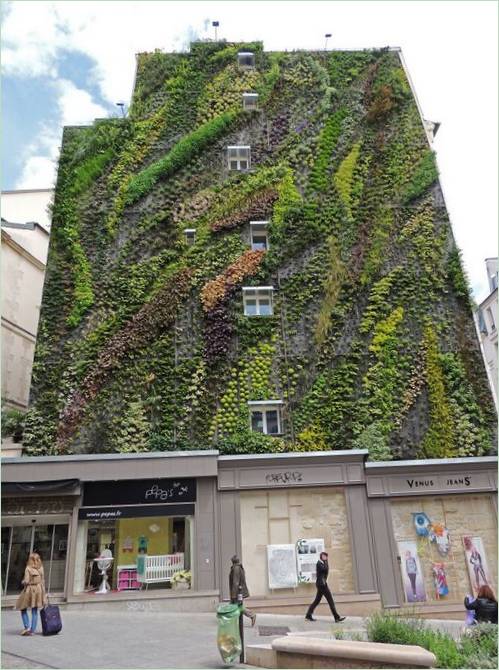 Le jardin vertical Oasis Aboukir de Patrick Blanc