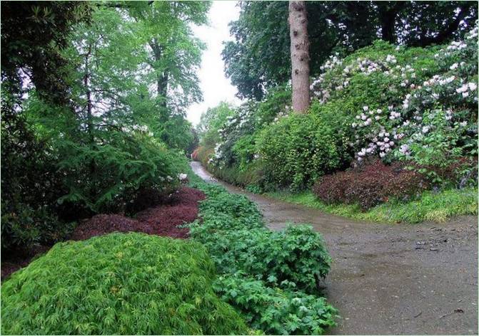 Arboretum du Mont Congreve