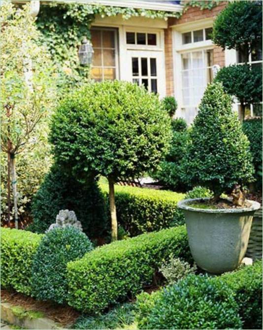 Jardin de buis classique