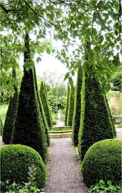 Le jardin classique de buis