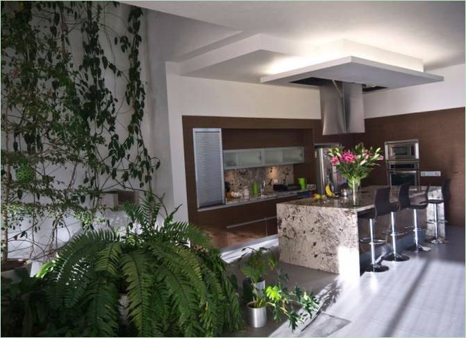 Aménagement intérieur d'une maison dans une forêt d'eucalyptus, Zapopan, Jalisco, Mexique