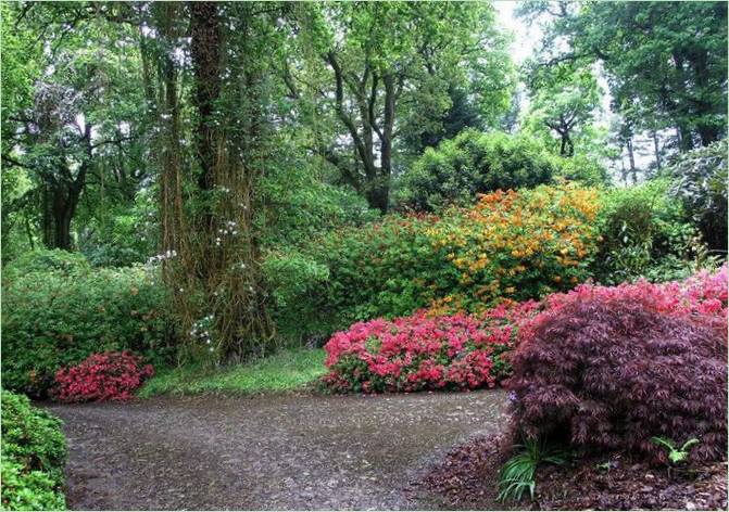 L'Arboretum du Mont Congreve