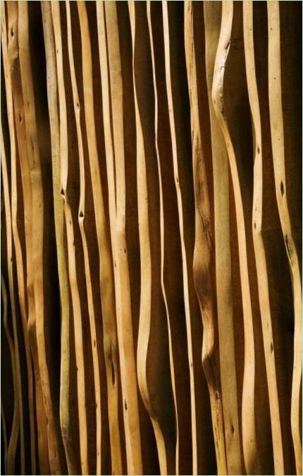 Le bois à l'intérieur de la résidence Tangga