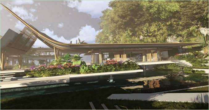 Des plantes abondantes