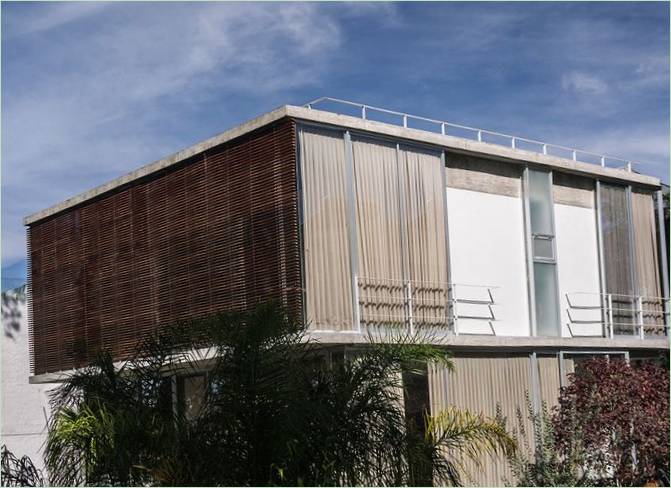 Aménagement intérieur d'une forêt d'eucalyptus, Zapopan, Jalisco, Mexique