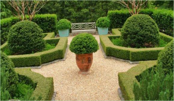Un jardin de buis classique